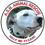 ASH Animal Rescue