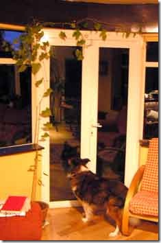 jean_claude2