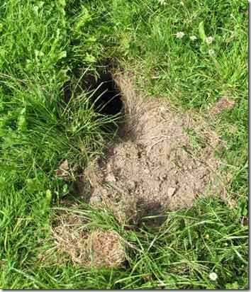 Hole in the lawn