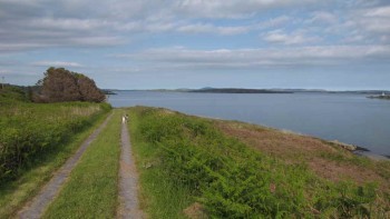 Penny walking down the lane