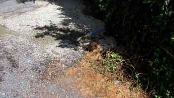 No Water Meter